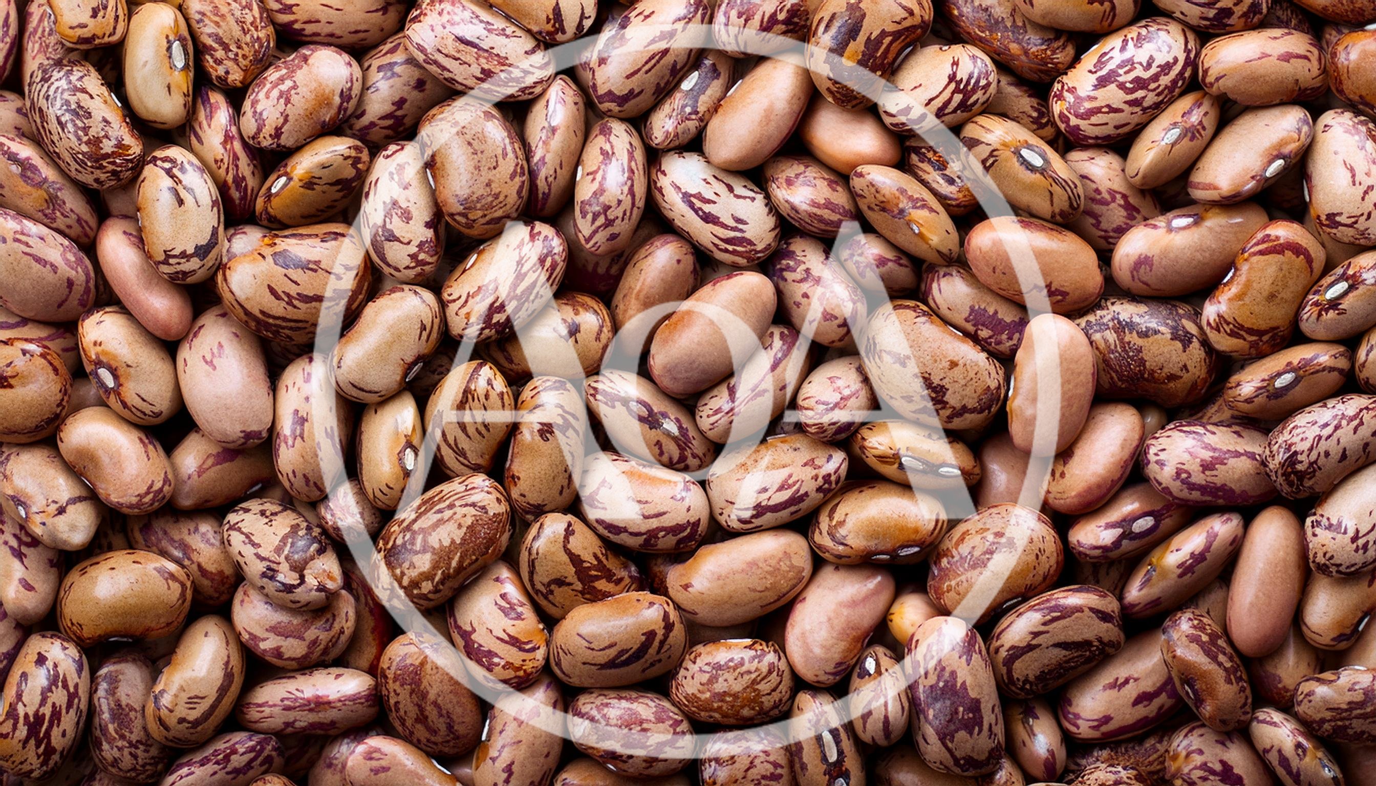 Top View Of Raw Pinto Beans Background
