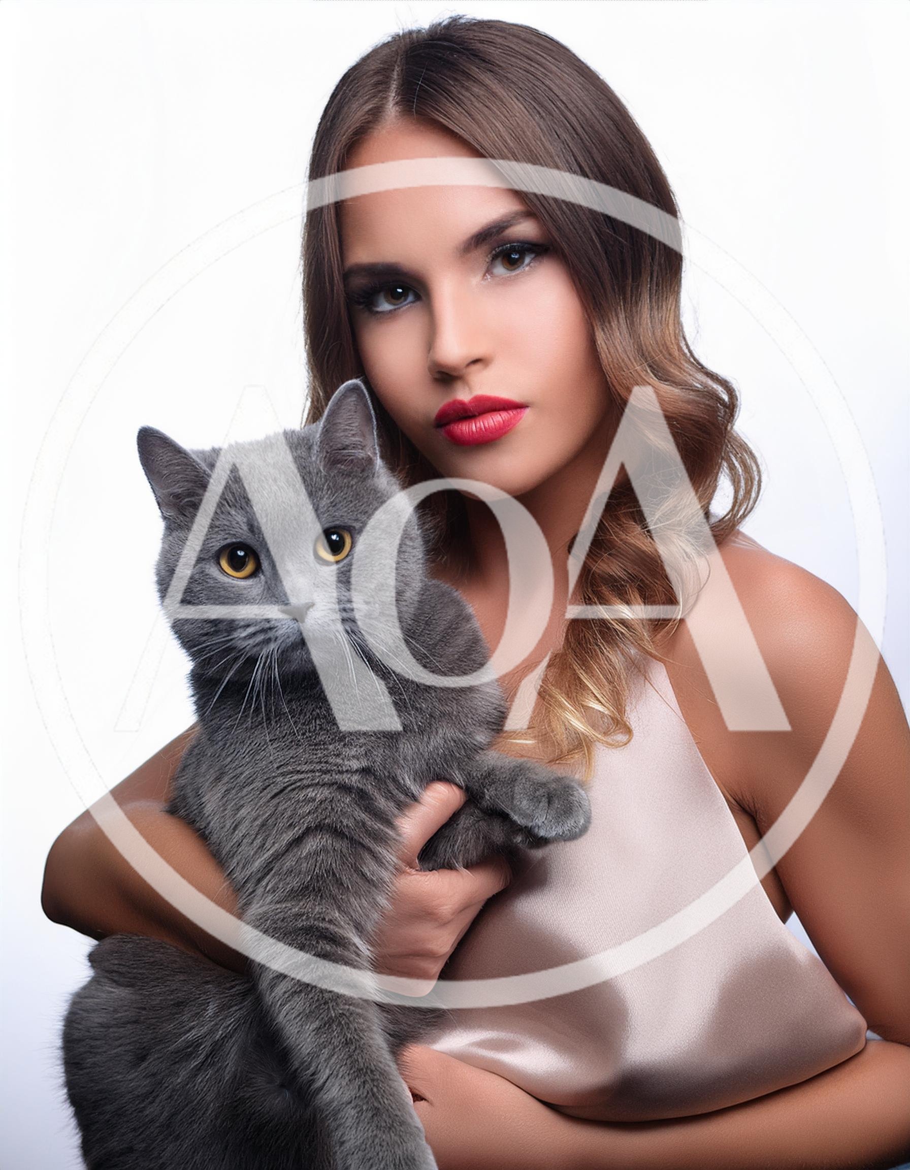 Beautiful Woman Holding A Grey British Shorthair Cat