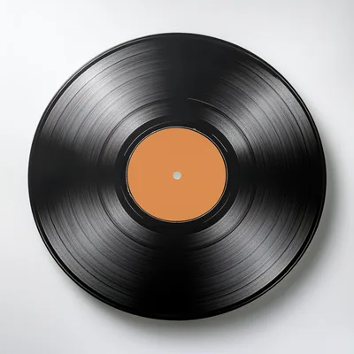 Black Vinyl Record With Blank Orange Center Label