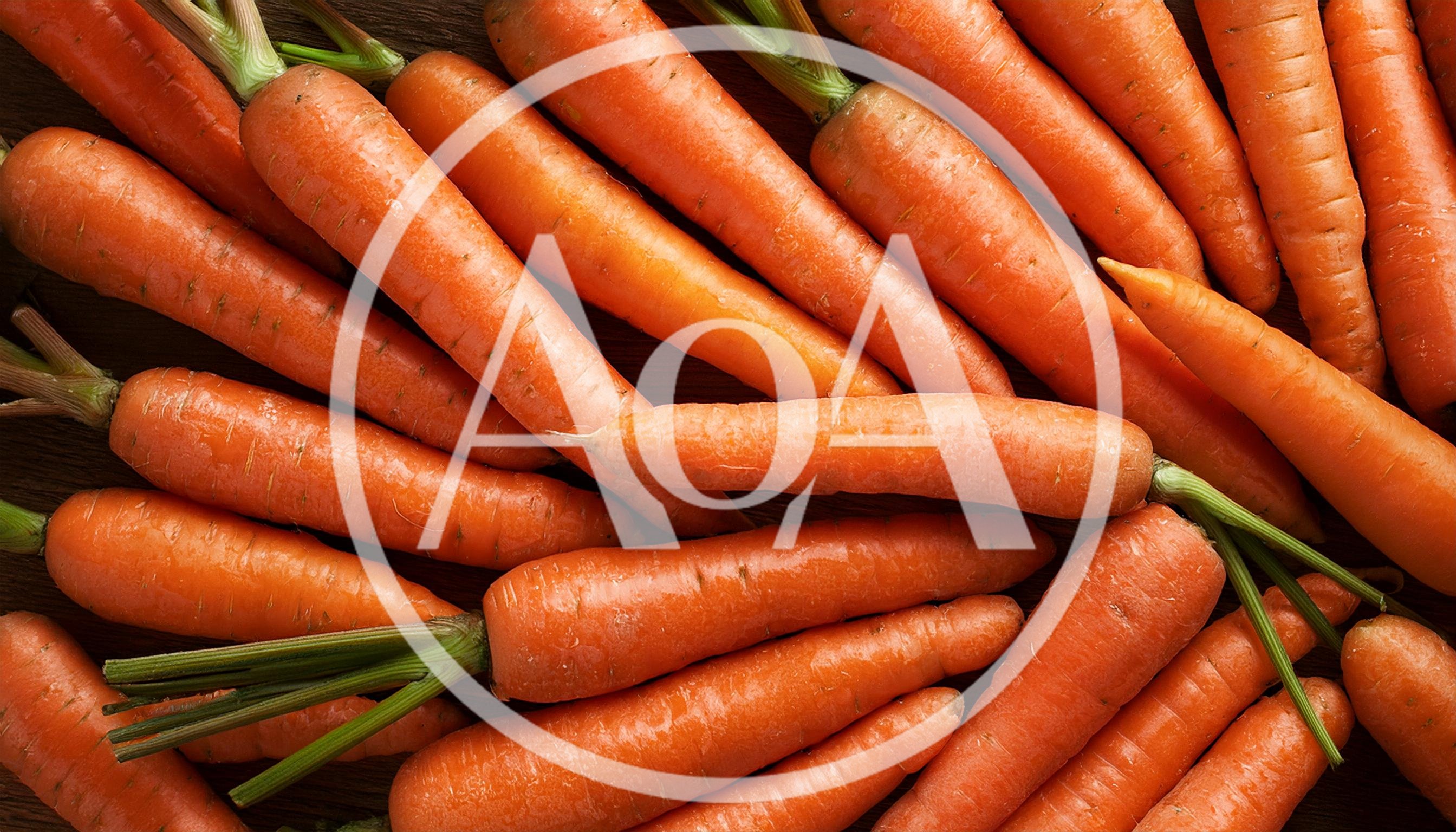 Fresh Organic Carrots Arranged On A Wooden Surface