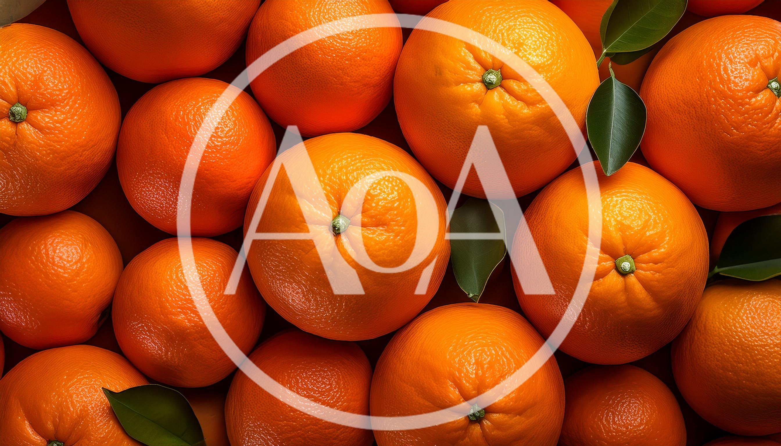 Top View Of Fresh Ripe Oranges