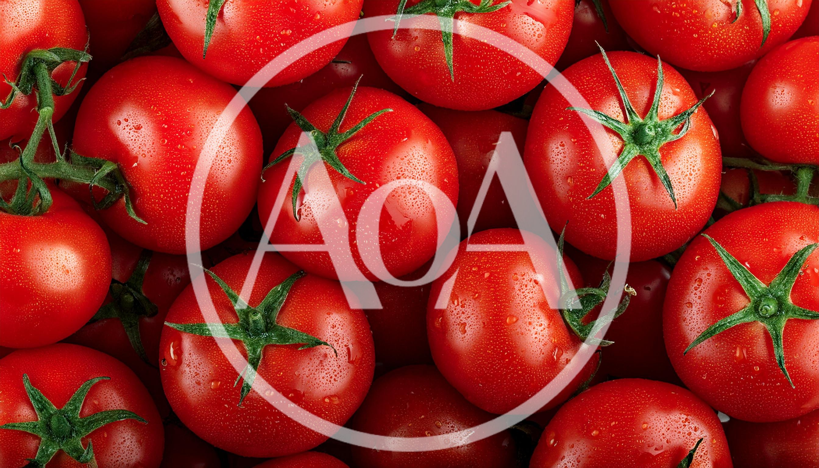 Fresh Red Tomatoes With Green Stems Background