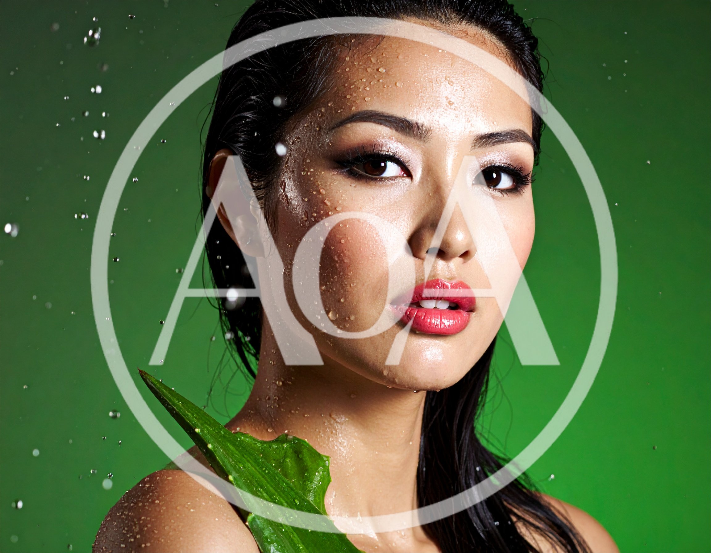 Portrait Of A Beautiful Woman With Aloe Vera