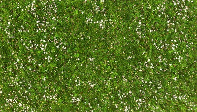Top Down View Of A Lush Green Meadow With Flowers