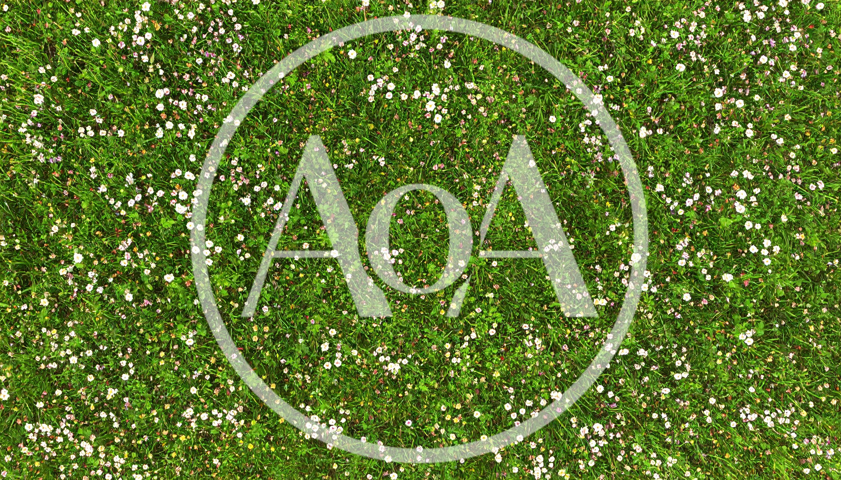 Top Down View Of A Lush Green Meadow With Flowers