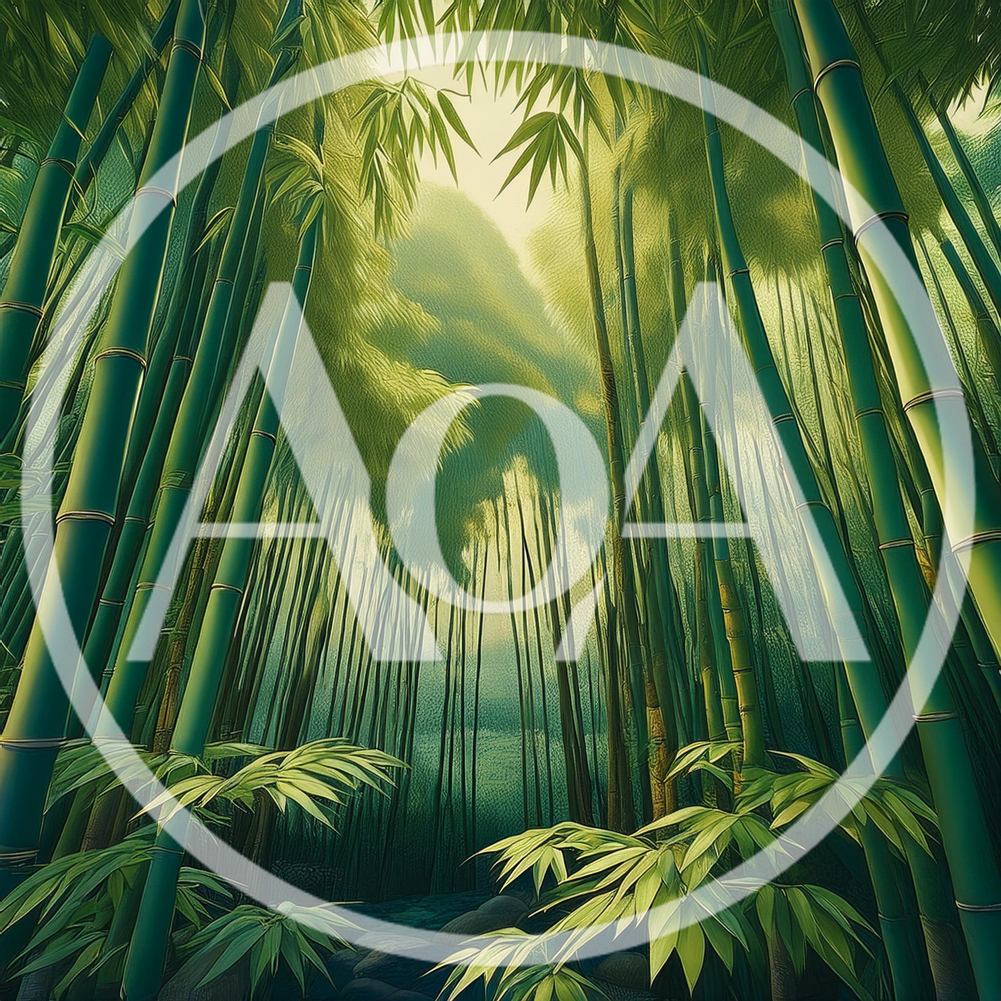 Lush Green Bamboo Forest With Sunlight Filtering Through