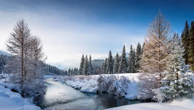 Winter Landscape With Frozen River And Snowy Pine Forest