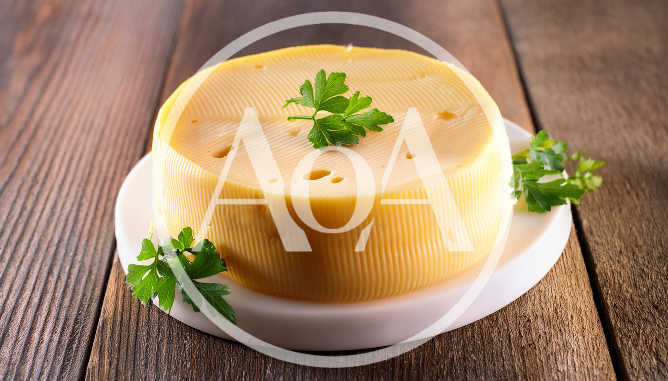 Round Wheel Of Yellow Cheese On A White Plate