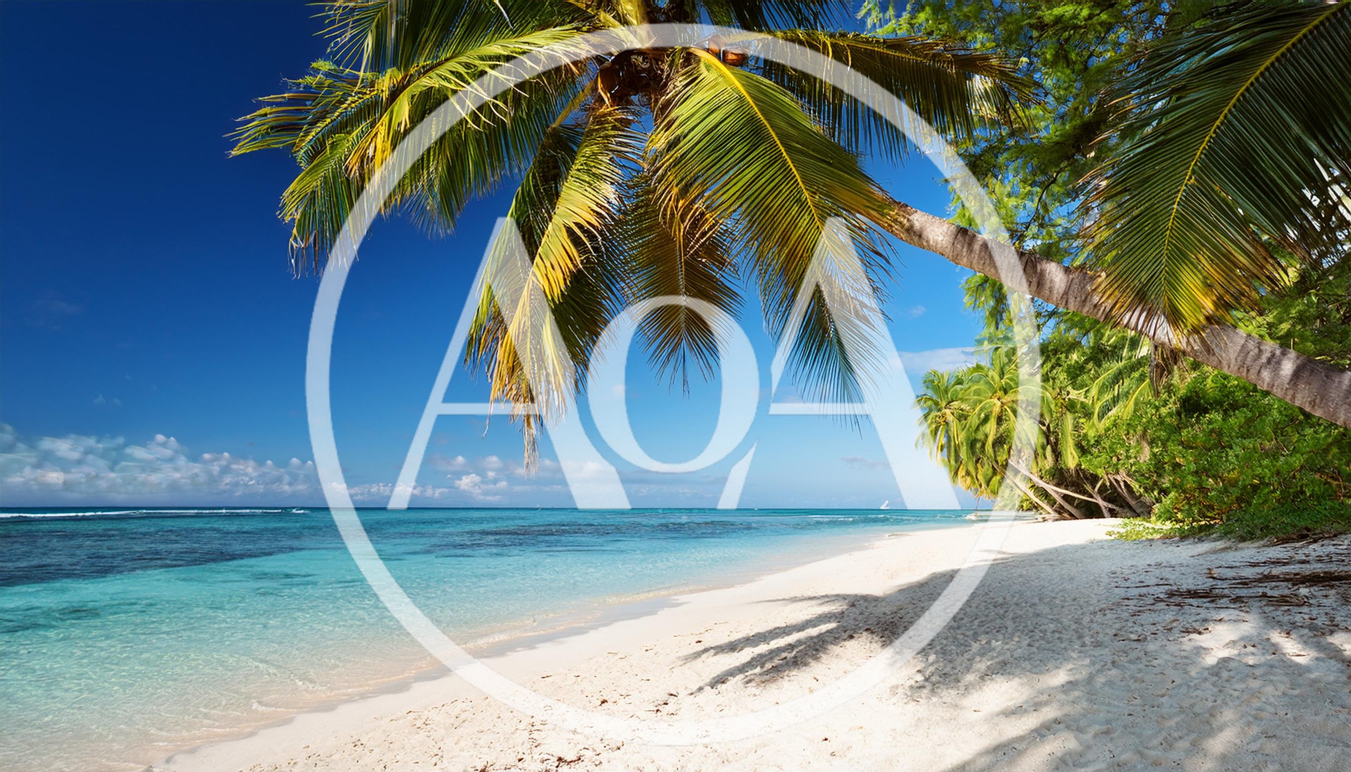 Tropical Beach With Palm Trees And Turquoise Ocean