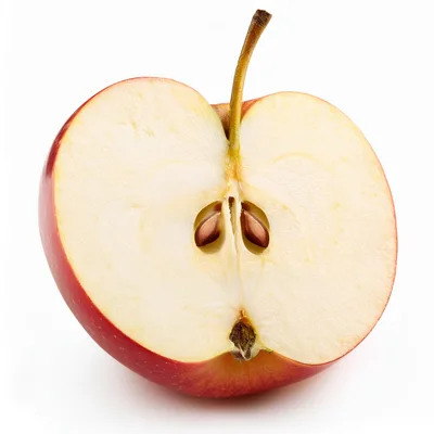 Cross Section Of A Fresh Red Apple