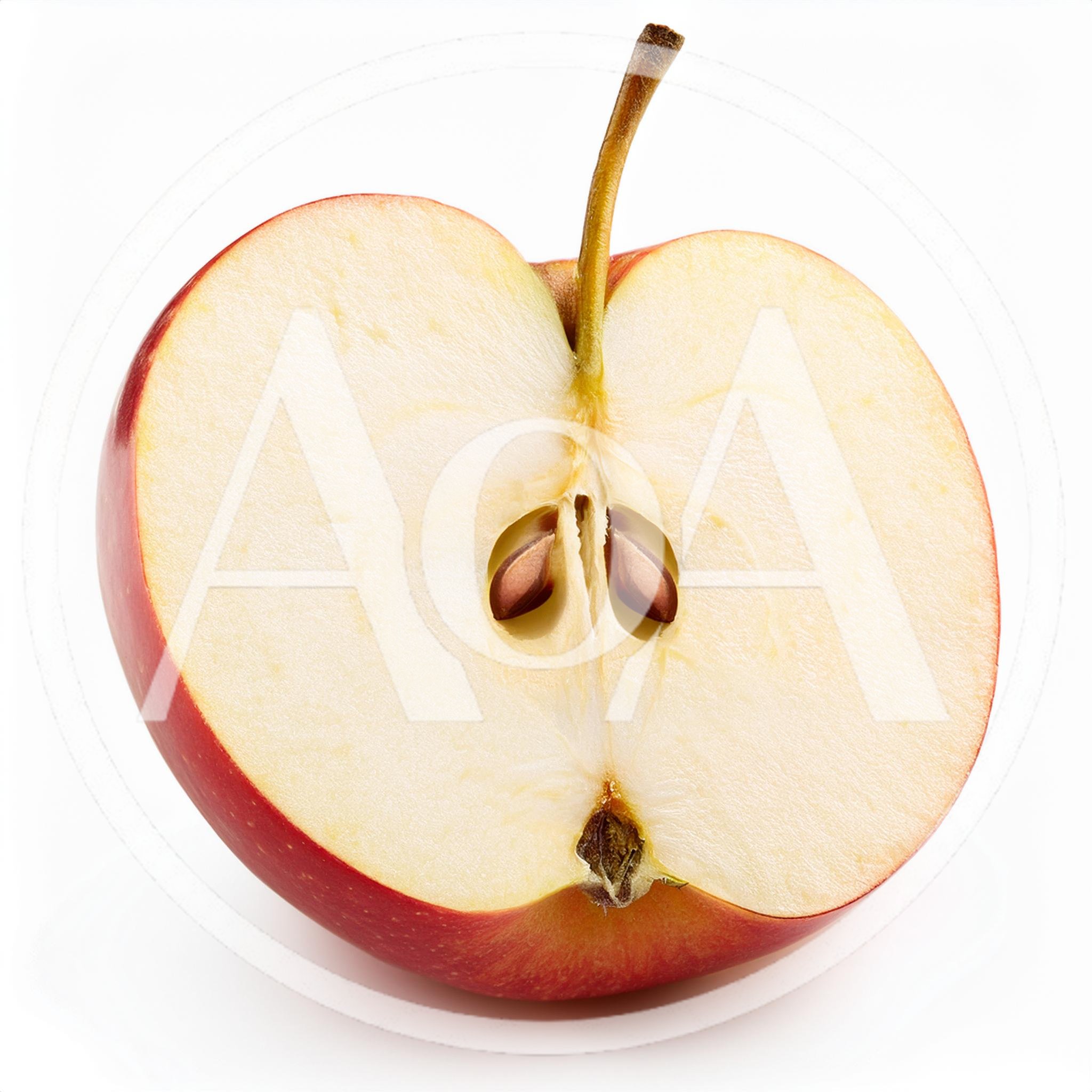 Cross Section Of A Fresh Red Apple