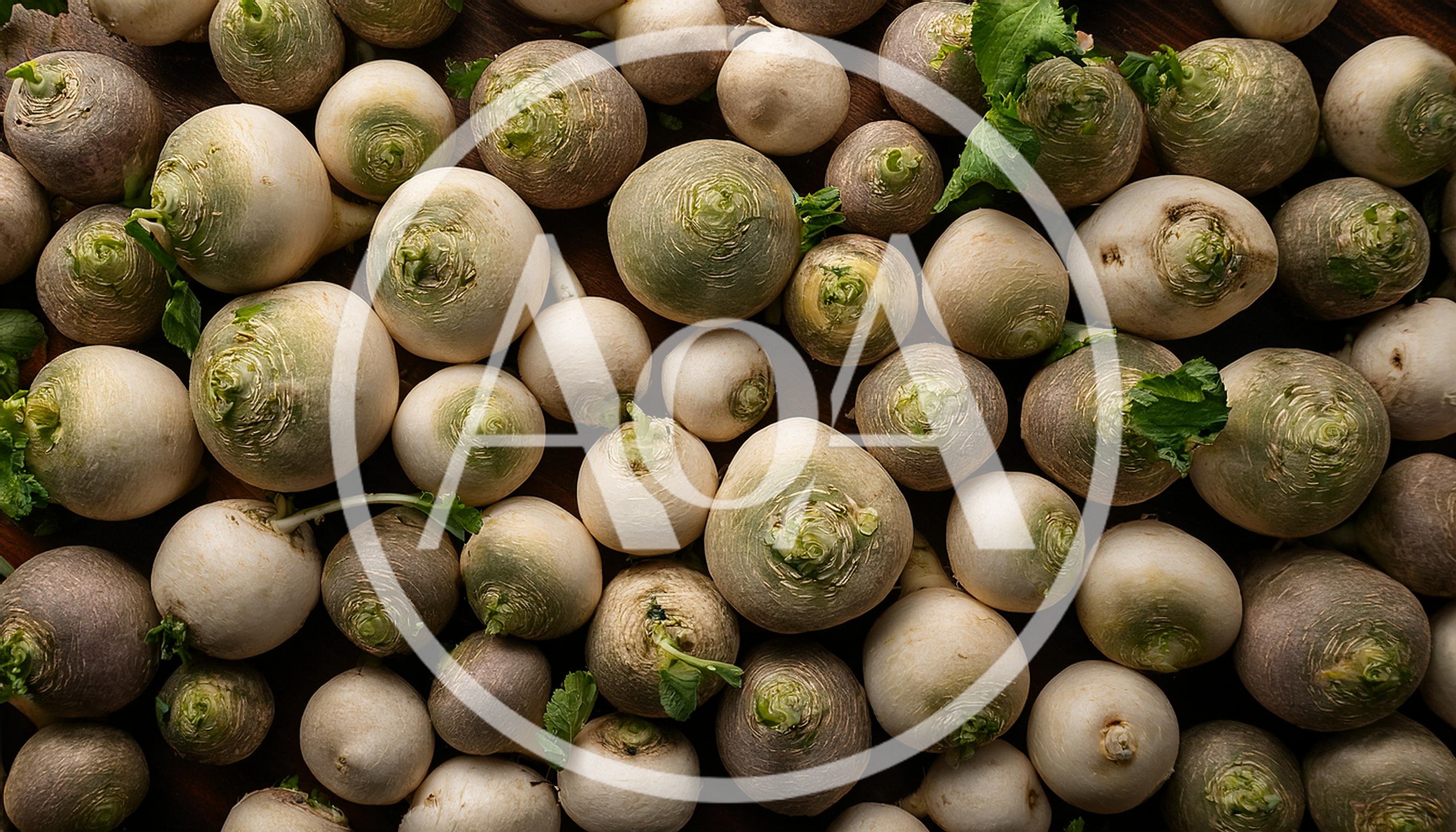 Fresh Organic Turnips Arranged On A Wooden Surface