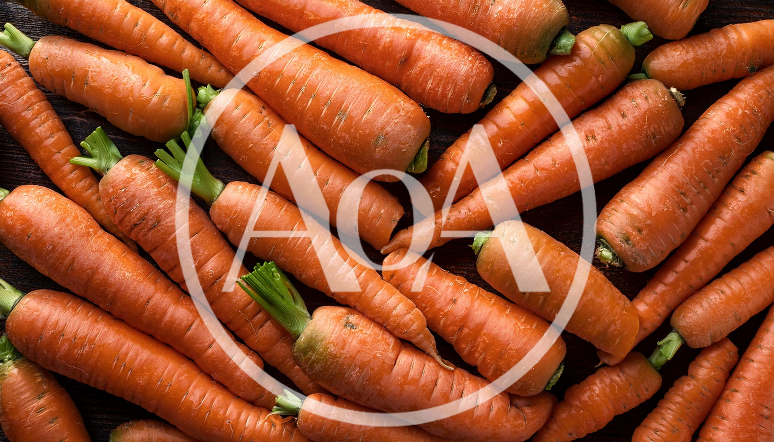 Fresh Raw Carrots Arranged On Dark Wooden Background