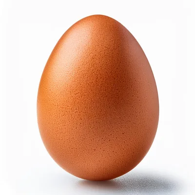 Single Brown Chicken Egg Isolated On White Background
