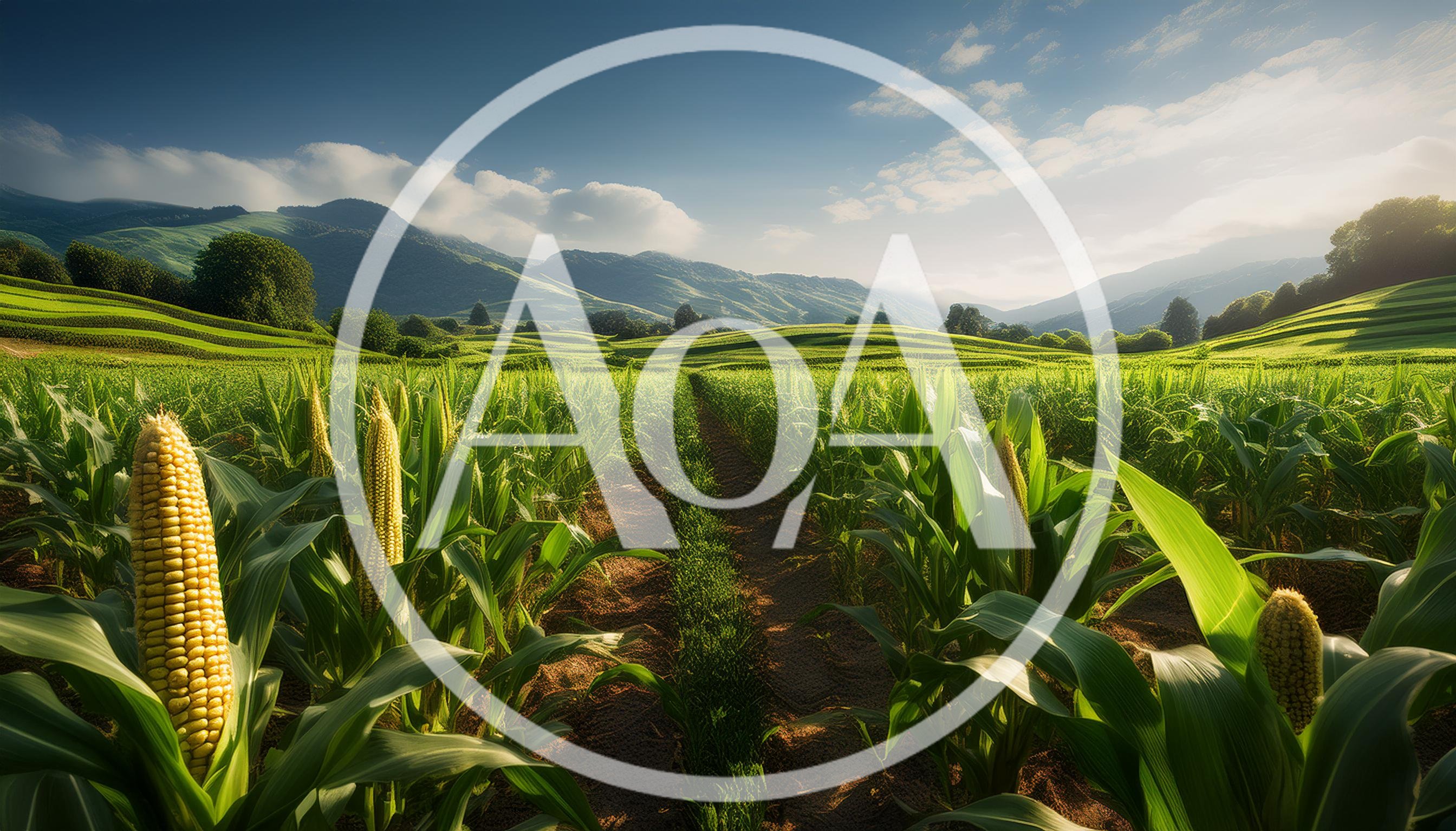 Lush Cornfield Landscape With Rolling Hills And Mountains
