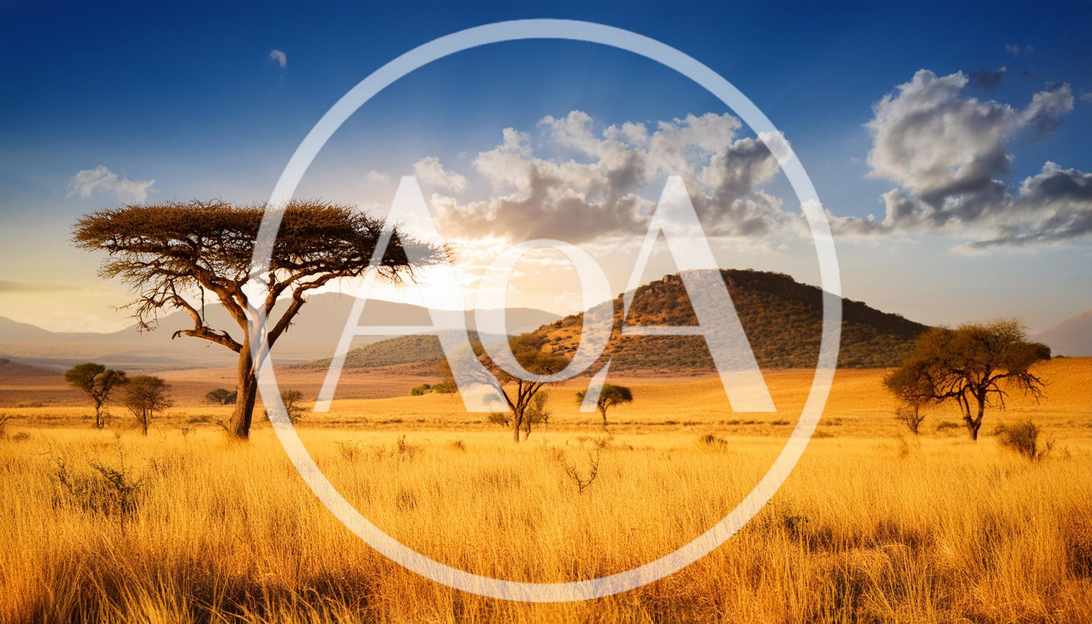 Acacia Trees In The Golden African Savanna At Sunset