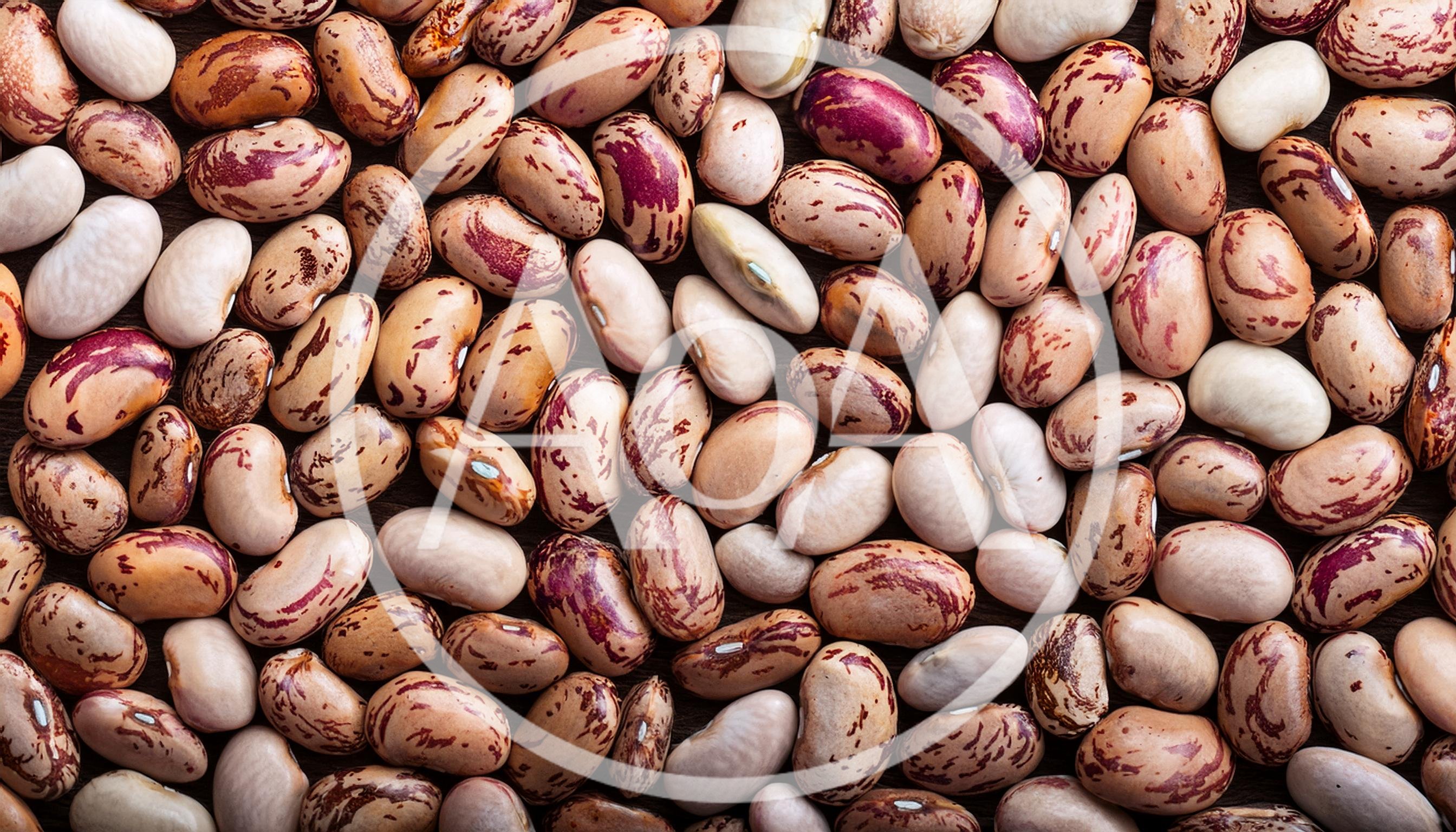 Top View Of Raw Pinto Beans Background
