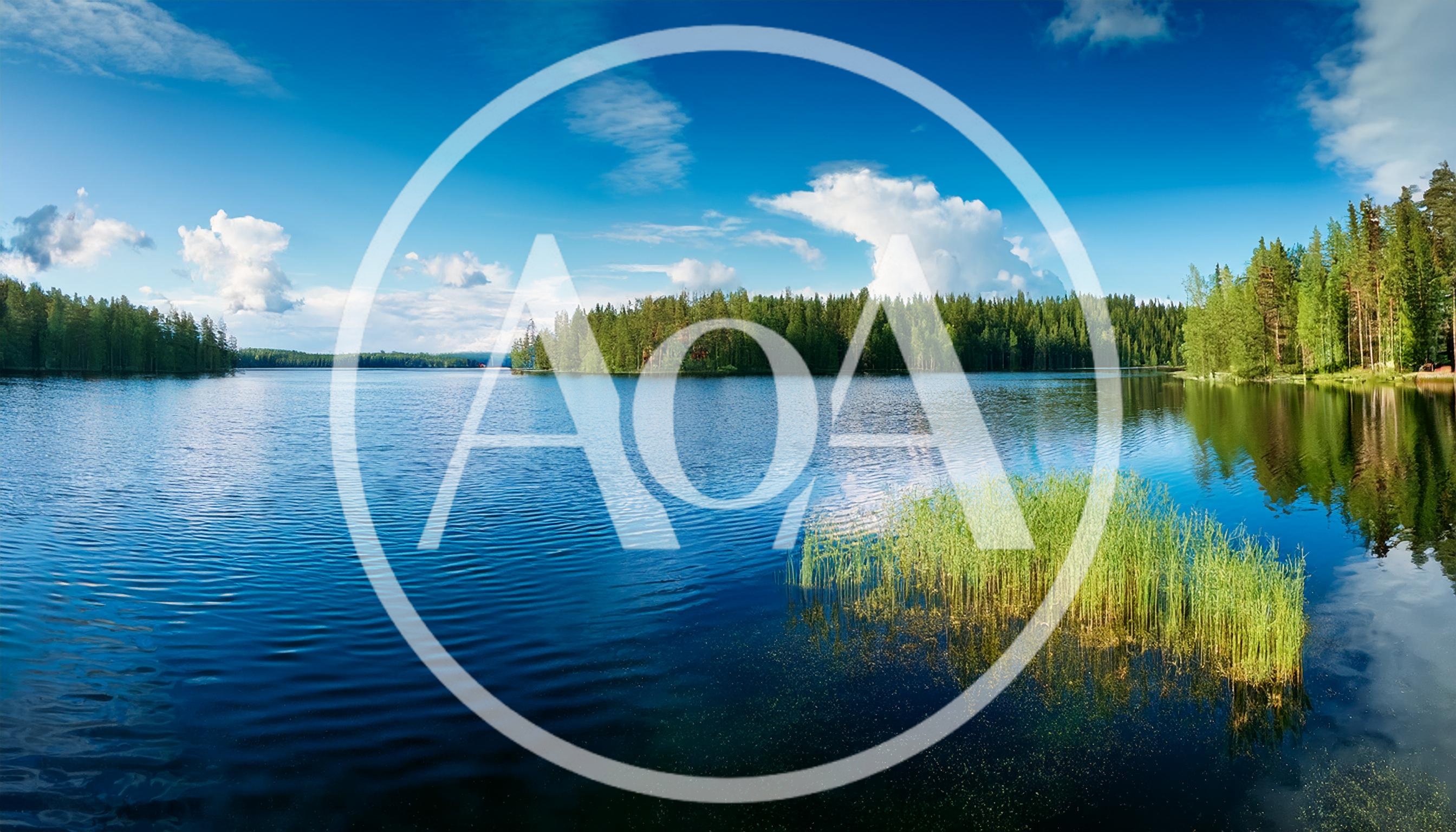 Panoramic View Of A Serene Finnish Lake With Reeds