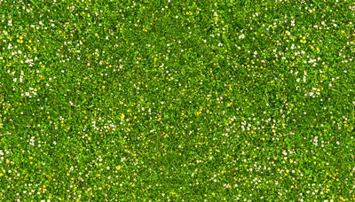 Top Down View Of A Lush Green Meadow