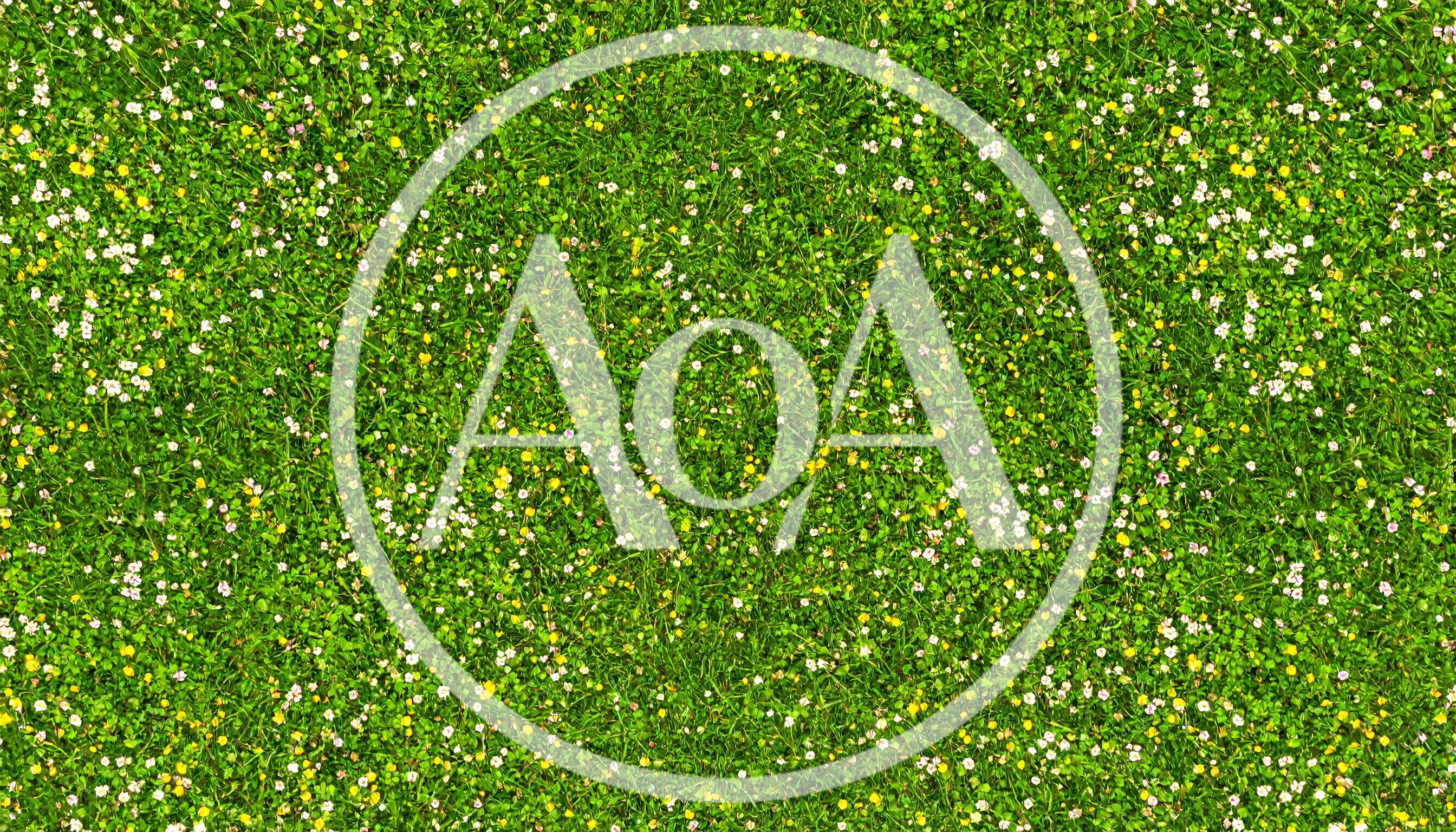 Top Down View Of A Lush Green Meadow