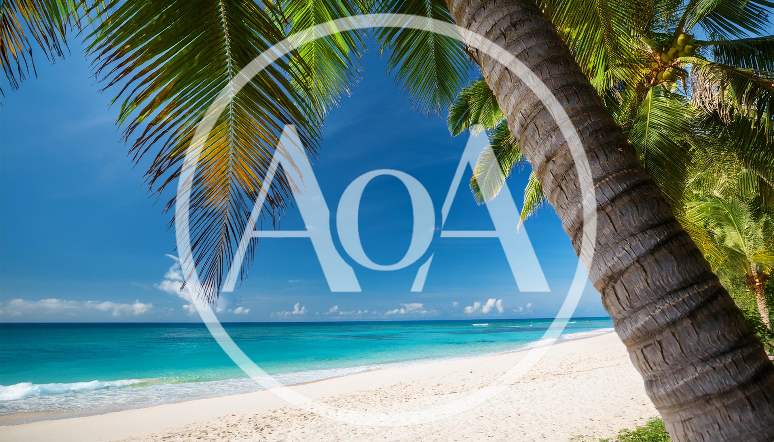 Tropical Beach Scene With Palm Tree And Turquoise Water