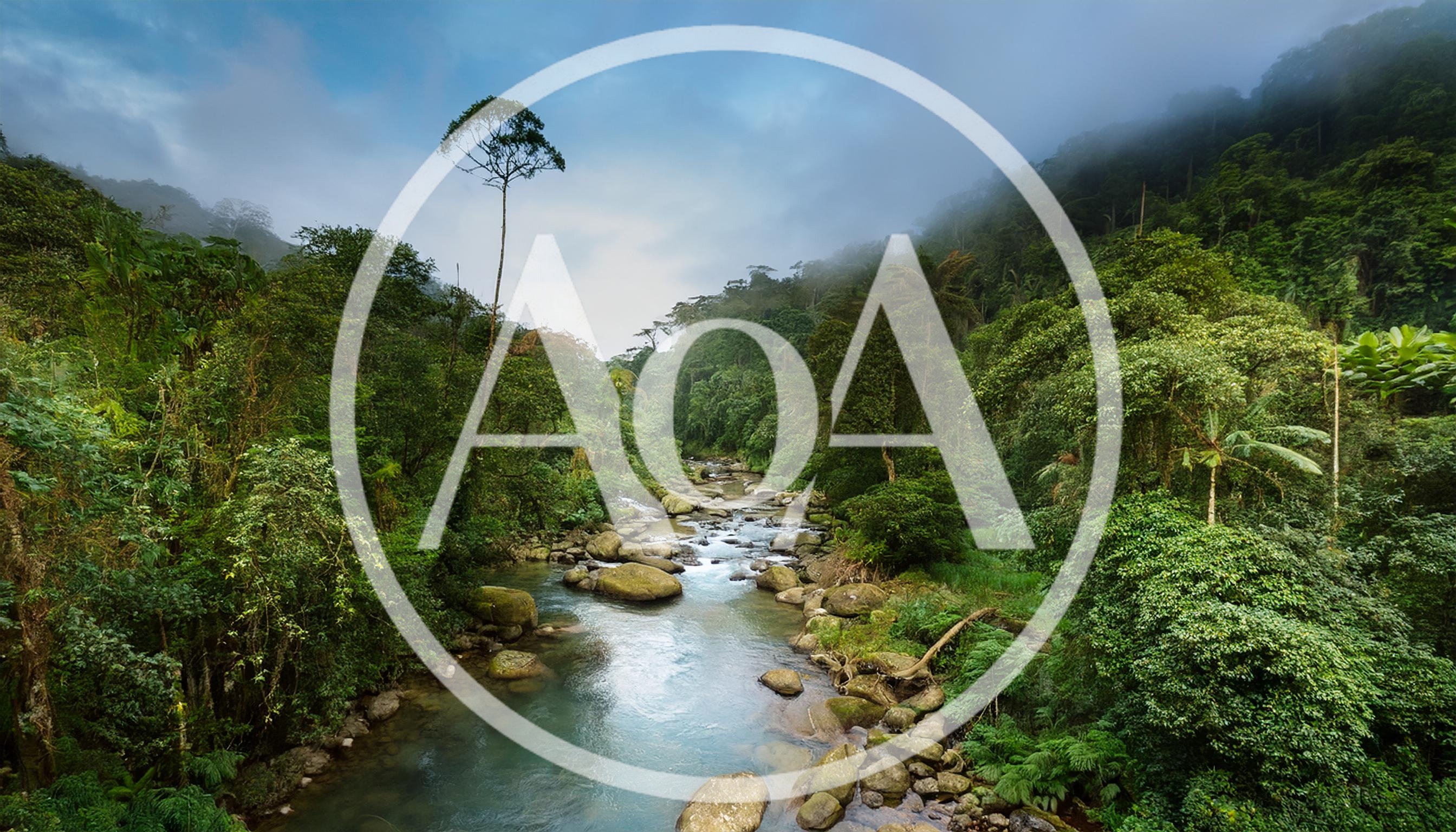 Lush Tropical Rainforest River Flowing Through Dense Jungle