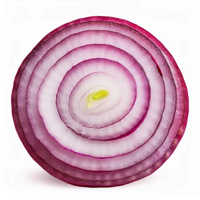 Cross Section Of A Fresh Red Onion