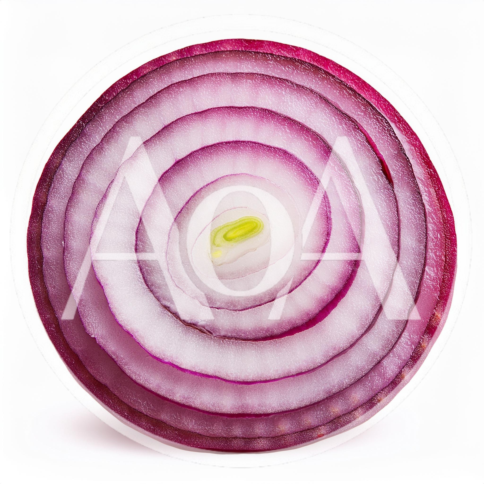 Cross Section Of A Fresh Red Onion