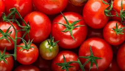 Fresh Ripe Red Tomatoes With Green Stems