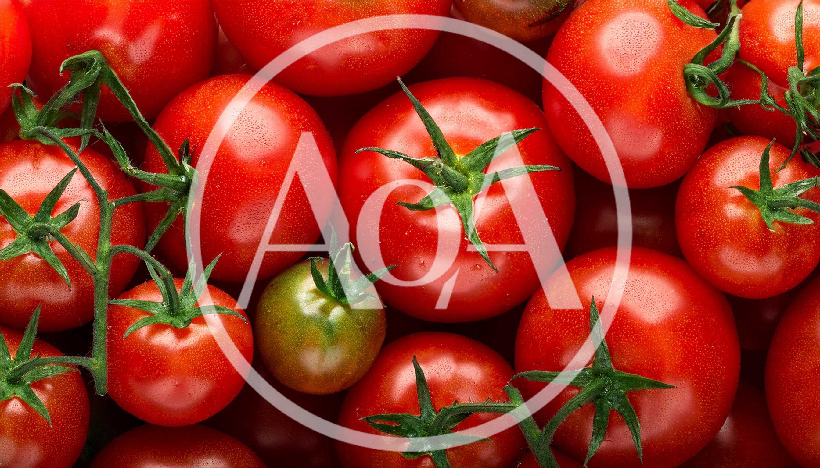 Fresh Ripe Red Tomatoes With Green Stems