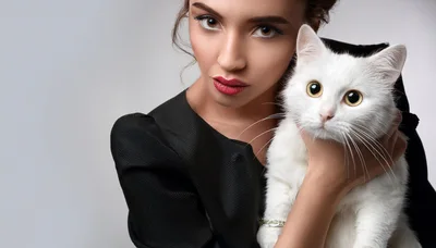 Elegant Woman Holding A Fluffy White Cat