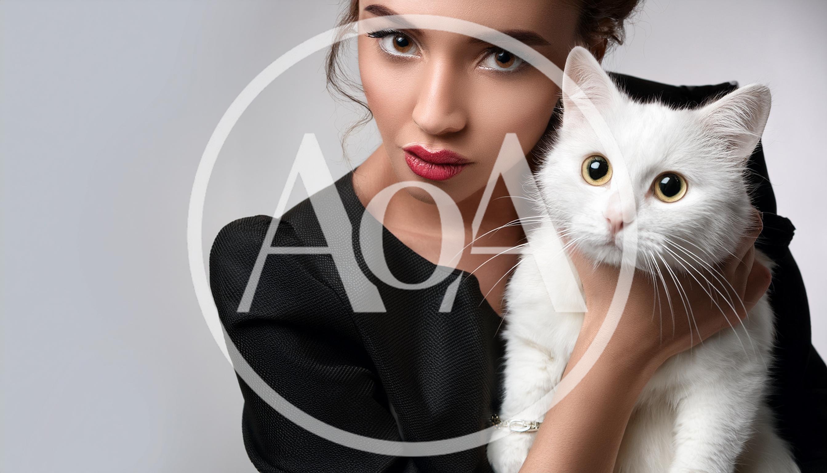 Elegant Woman Holding A Fluffy White Cat