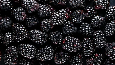 Fresh Ripe Blackberries Background Texture