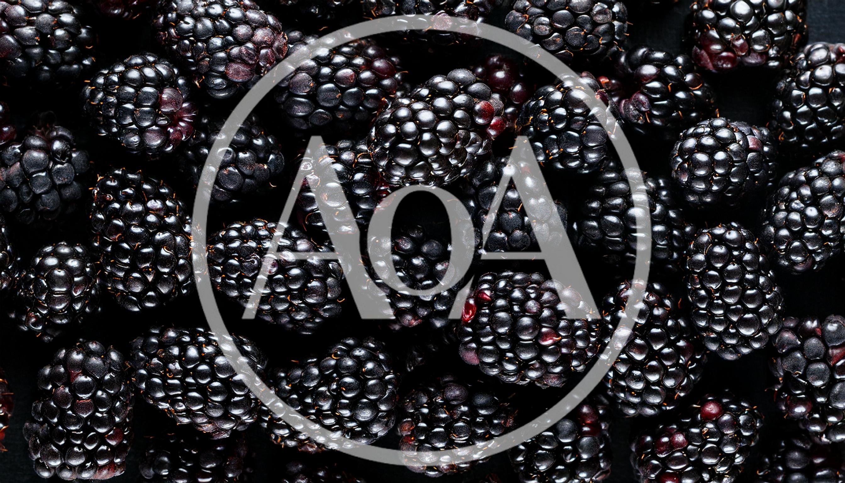 Fresh Ripe Blackberries Background Texture