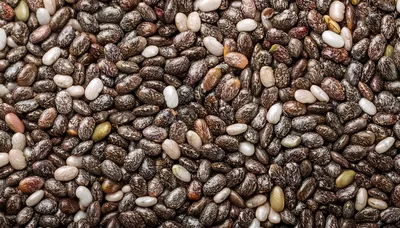 Macro Close Up Of Organic Chia Seeds