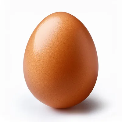Single Brown Chicken Egg On White Background