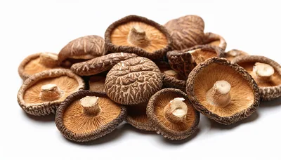 Dried Shiitake Mushrooms Pile on White Background