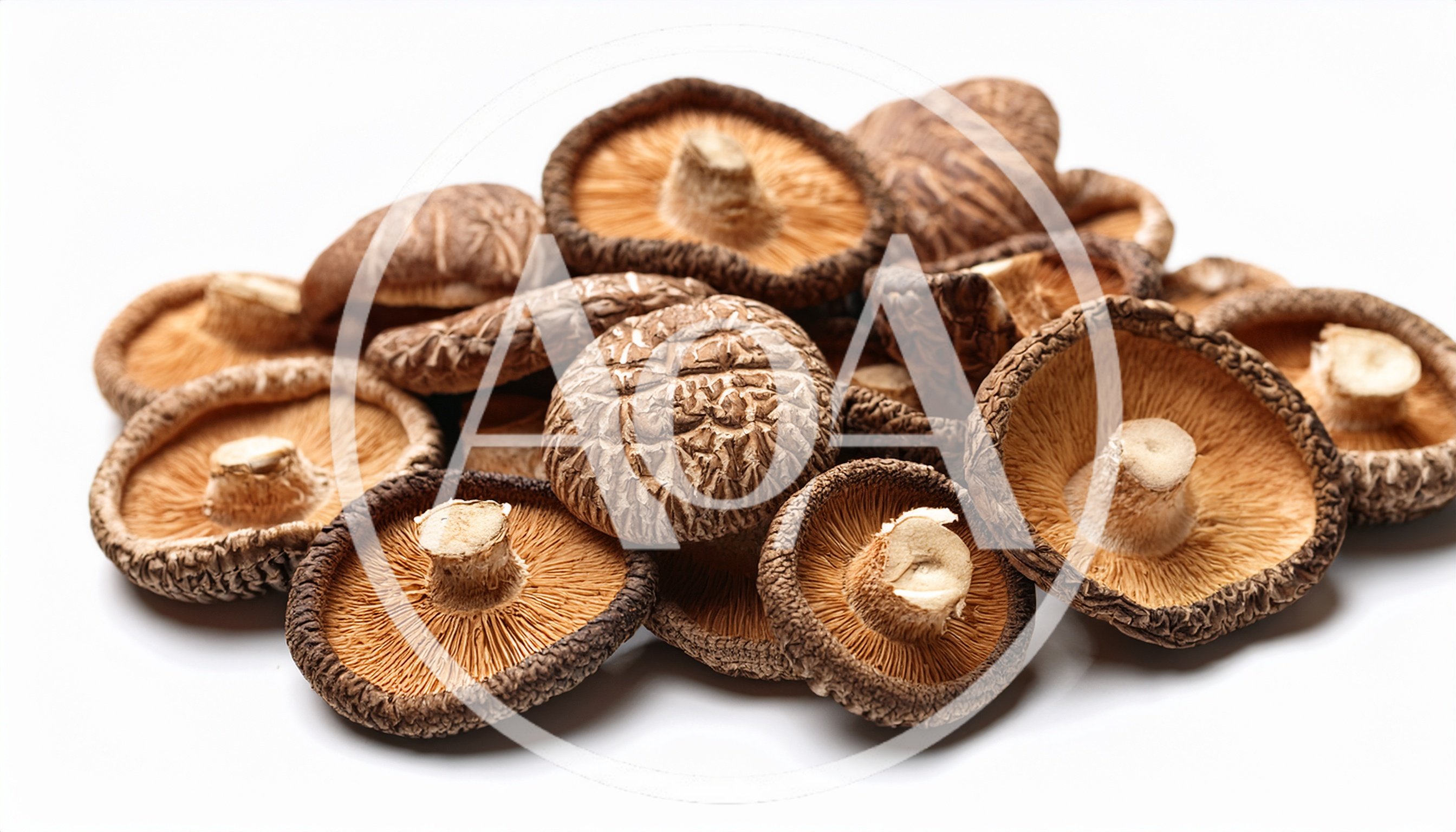 Dried Shiitake Mushrooms Pile on White Background