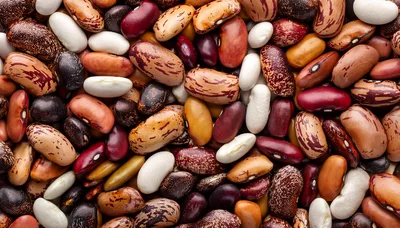 Assorted Dried Beans and Legumes Background