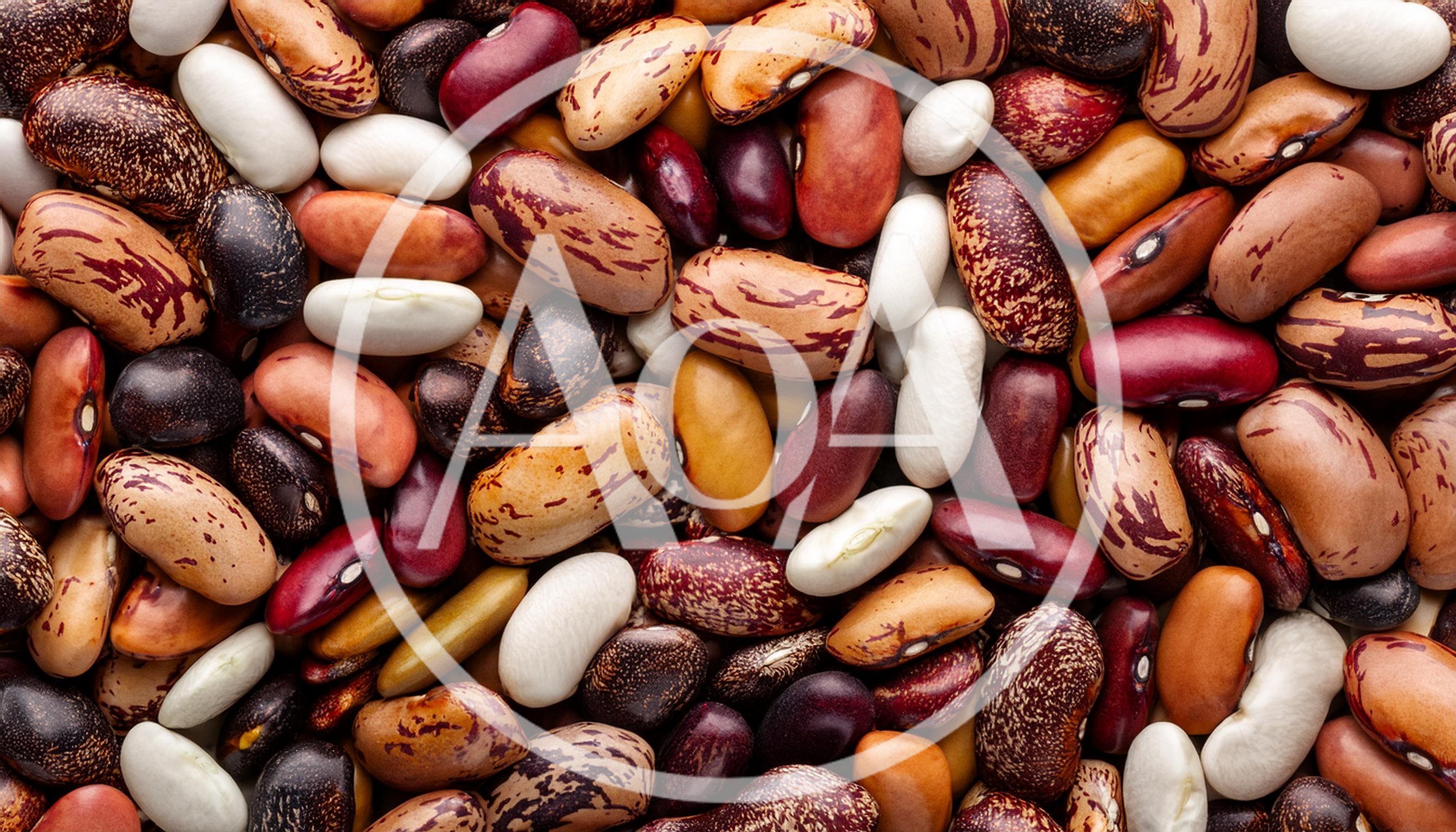 Assorted Dried Beans and Legumes Background
