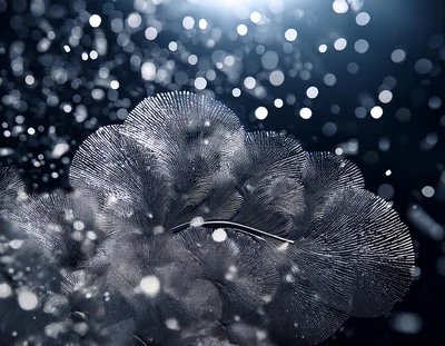 Abstract Digital Art Featuring Intricate Glowing Fan Patterns