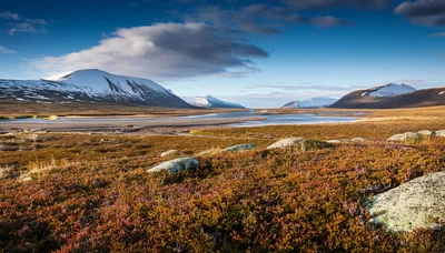 Arctic Tundra Landscape With Snow Capped Mountains