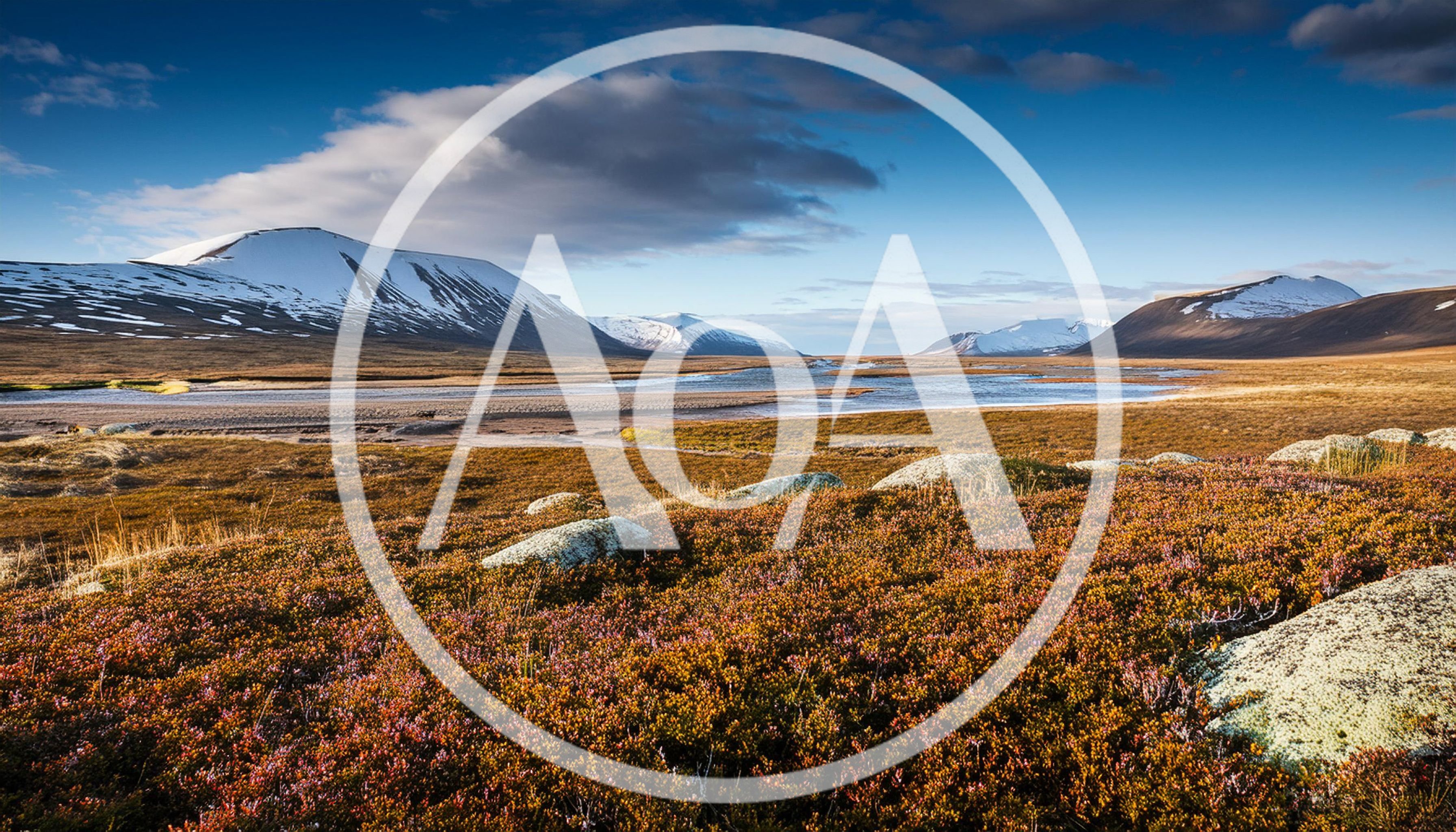 Arctic Tundra Landscape With Snow Capped Mountains