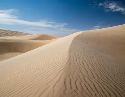 Expansive Sand Dunes Under A Clear Blue Sky