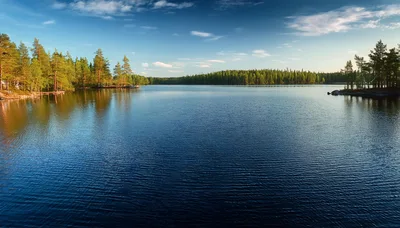 Serene Forest Lake Landscape Under Clear Blue Sky
