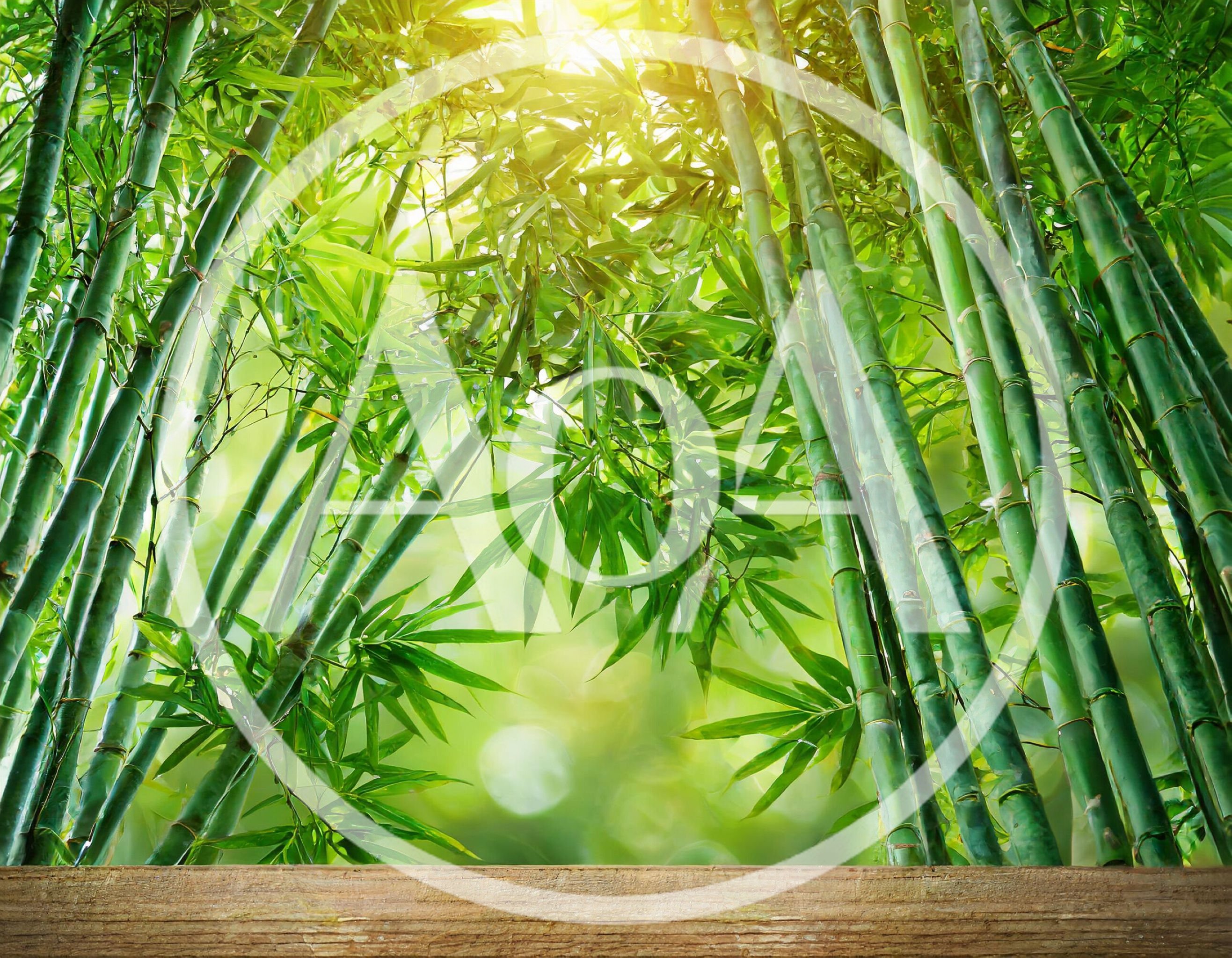 Wooden Table Surface Against A Lush Bamboo Forest