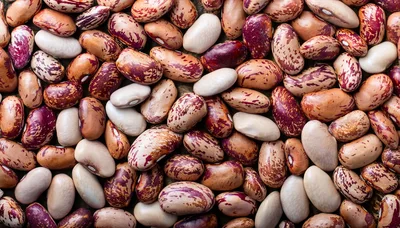 Top View Of Raw Pinto Beans Background