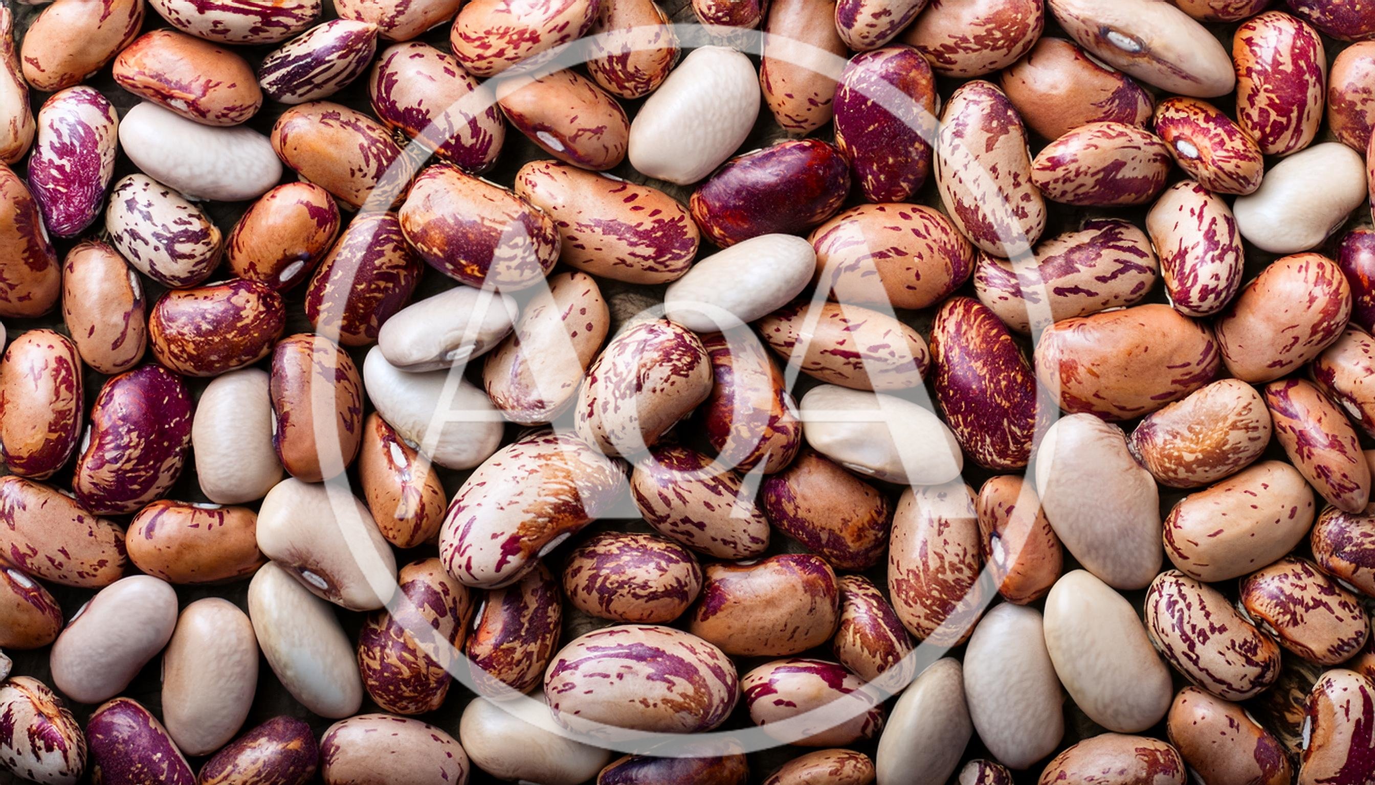 Top View Of Raw Pinto Beans Background