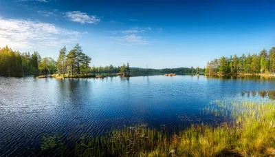 Serene Forest Lake Landscape With Small Islands