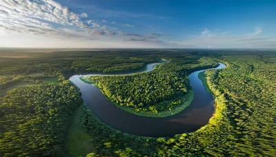 Aerial View Of A Meandering River Through Dense Forest